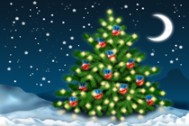 С Новым 2013 Годом!